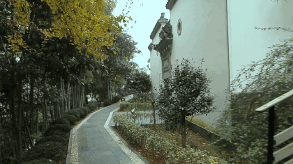 1.gif